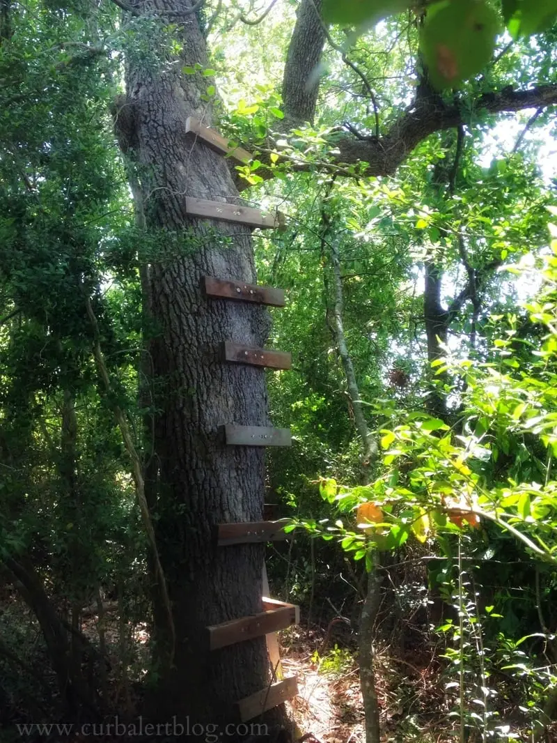 Tree house ladder