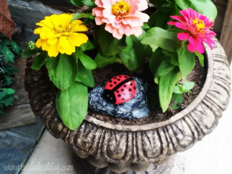 Rock ladybug in planter